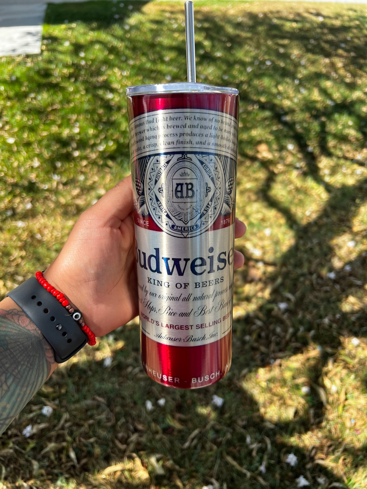 Stainless Steel/silver 20oz skinny Tumbler